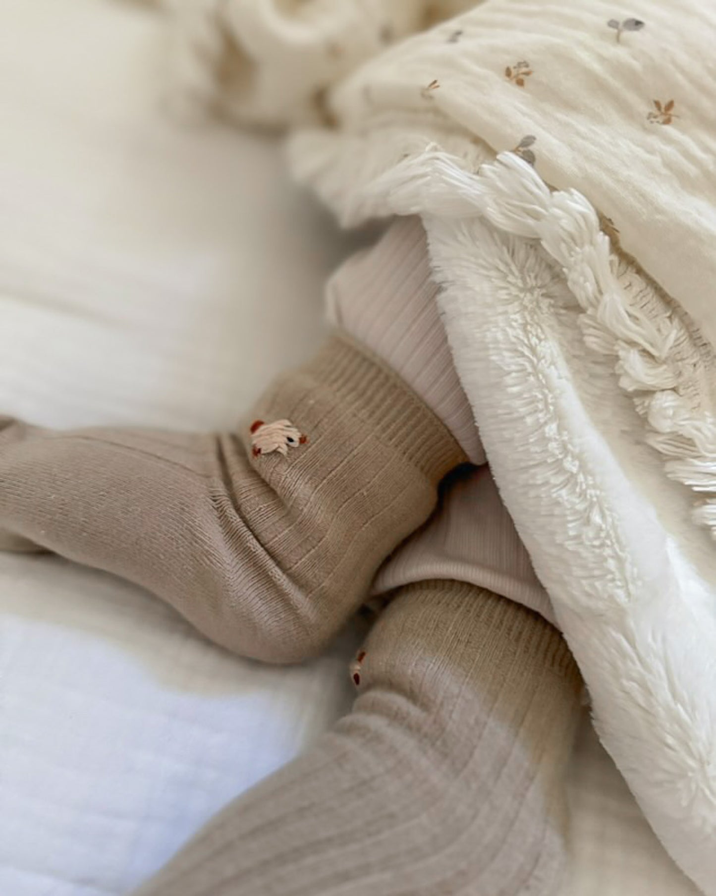 Les chaussettes d'oie