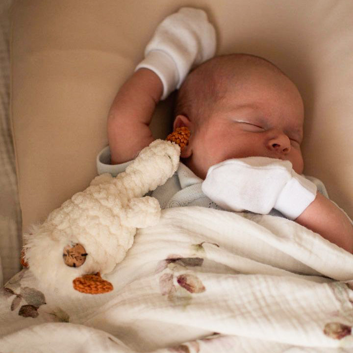 La mini oie apaisante