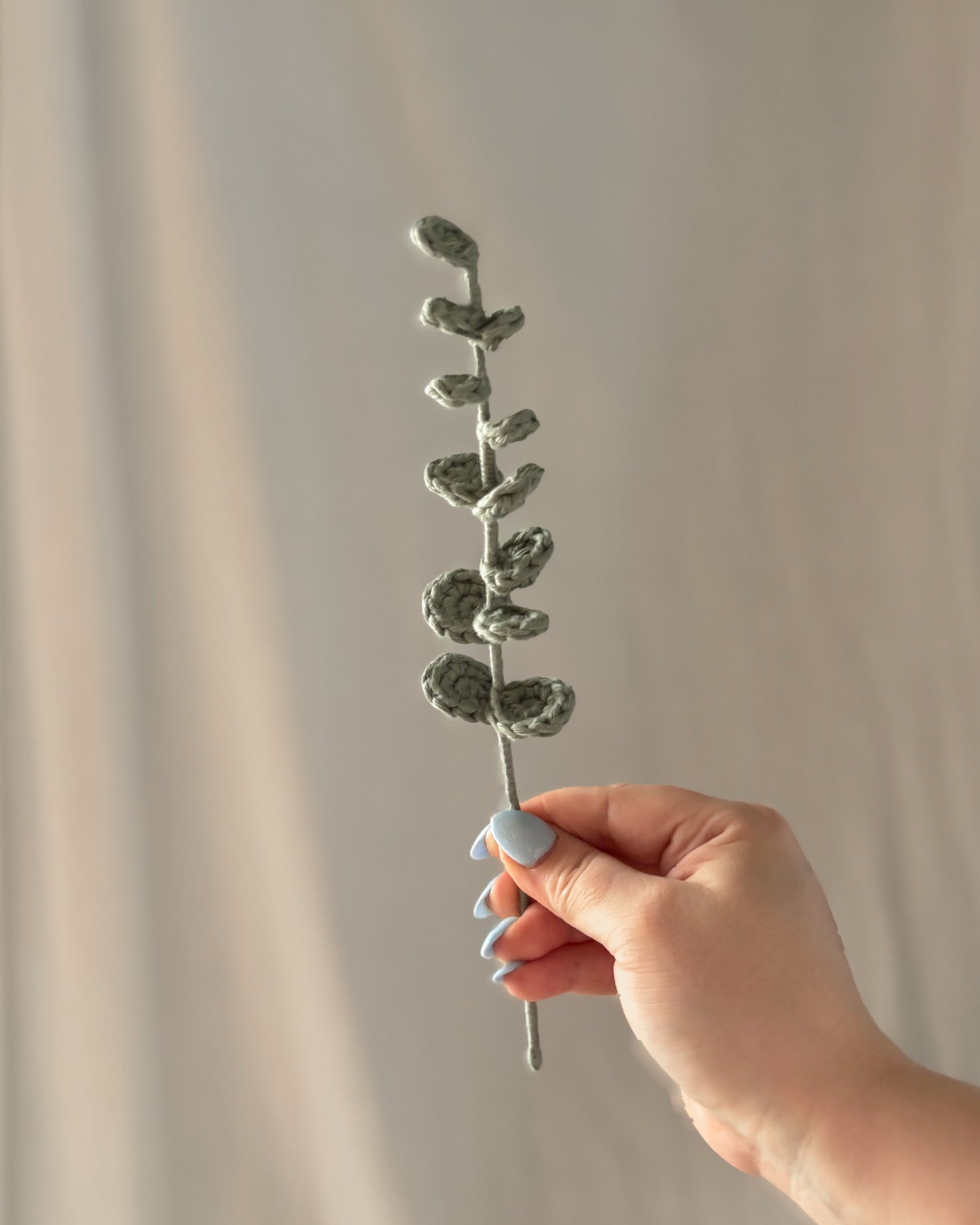 L'eucalyptus