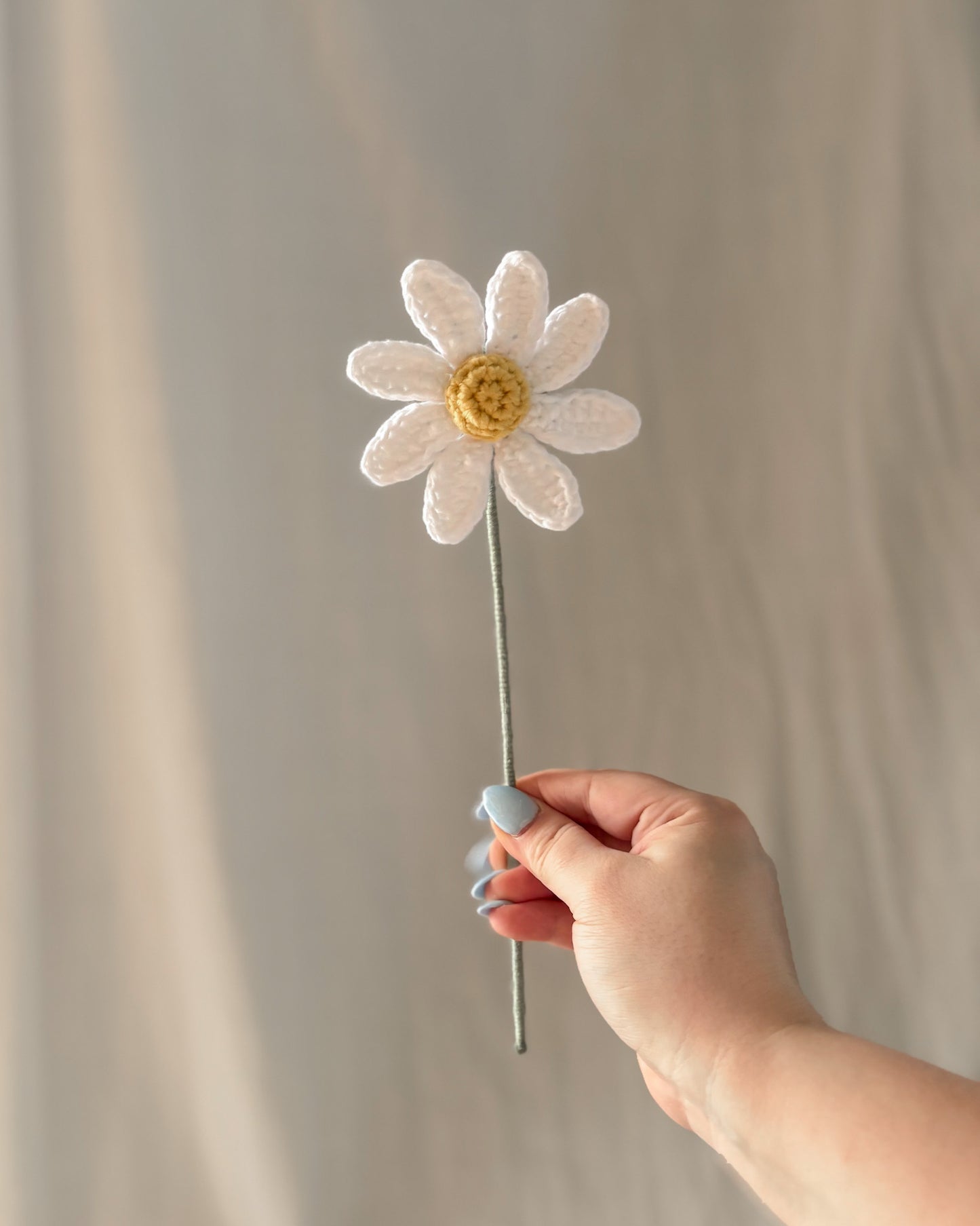 La marguerite