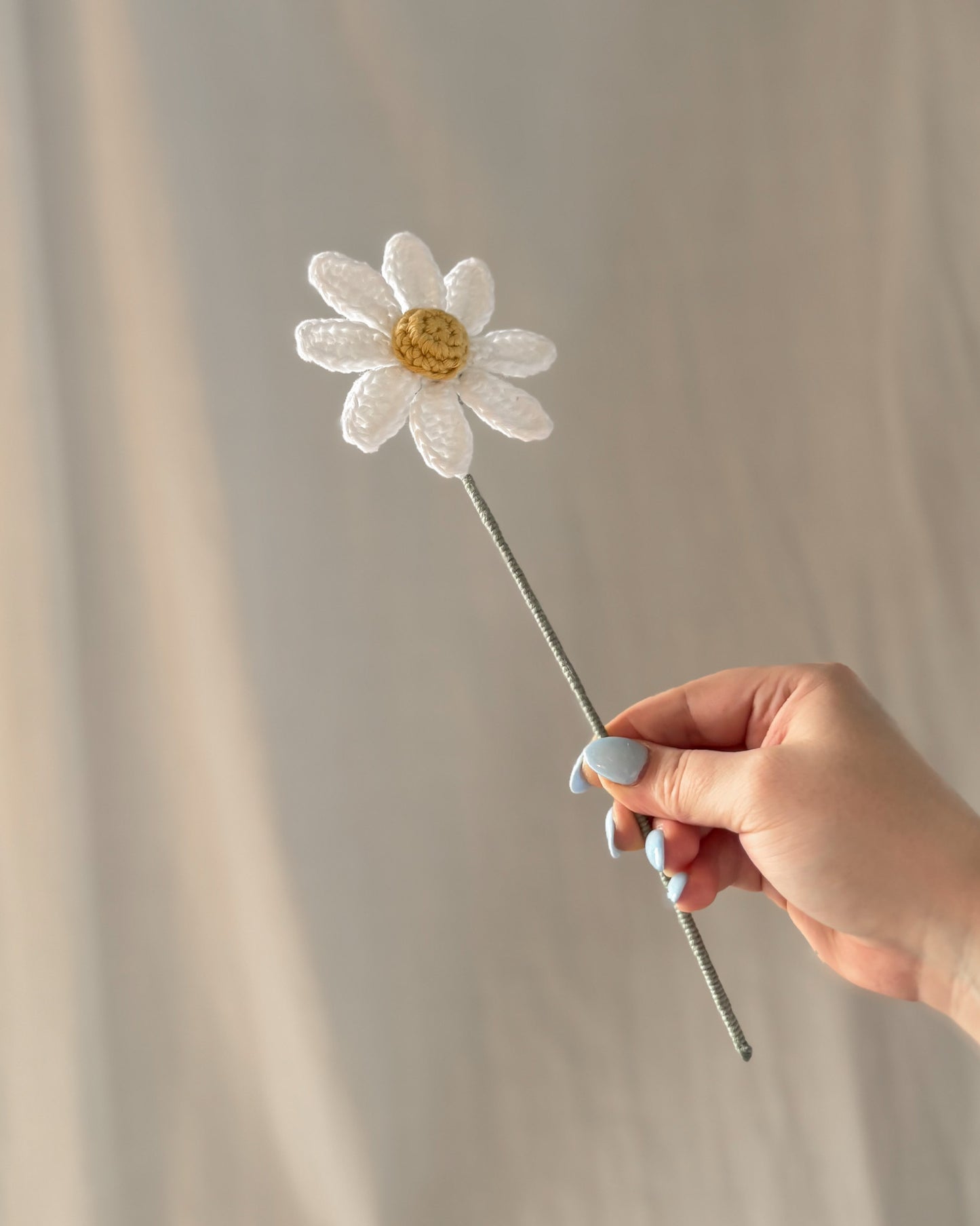 La marguerite