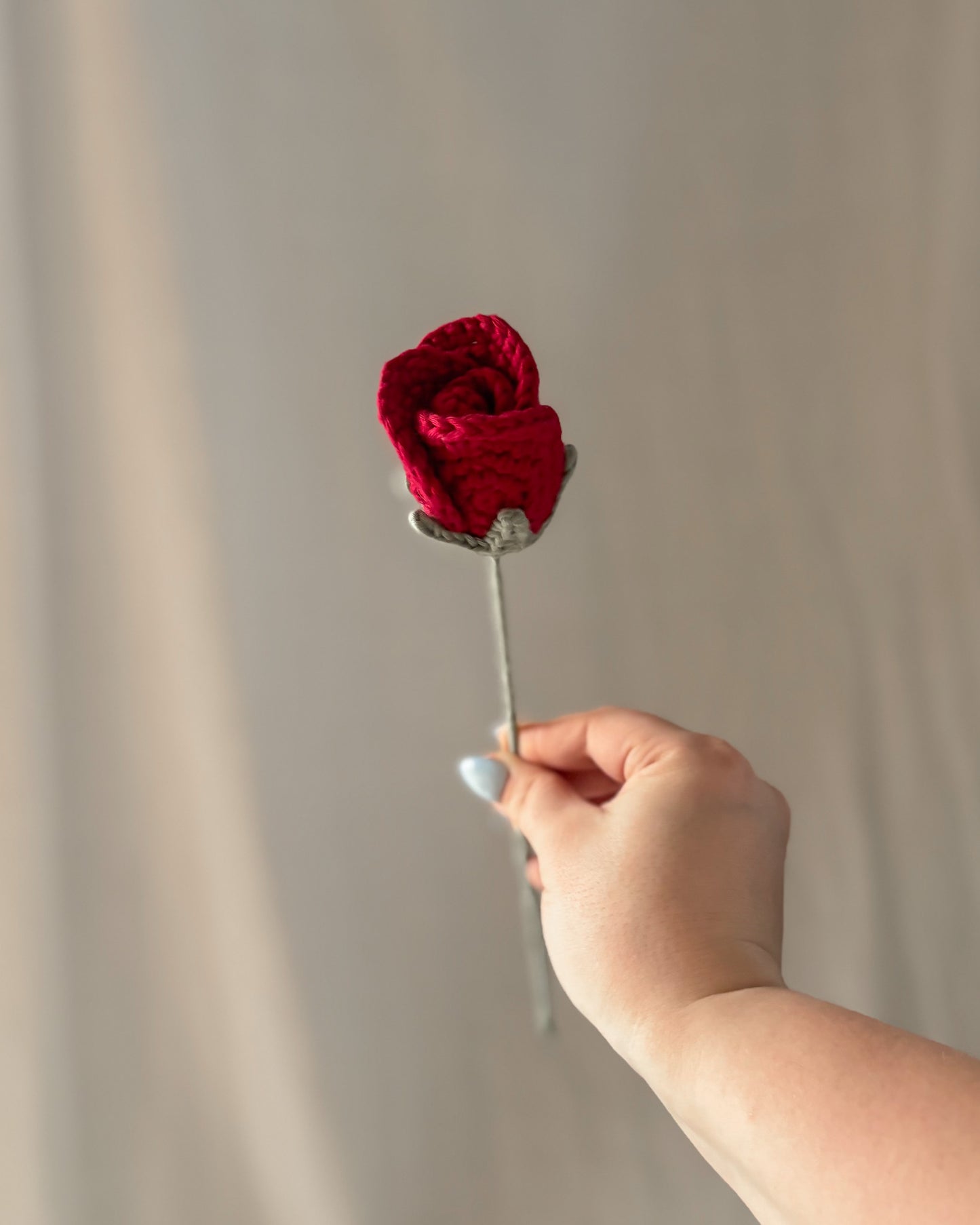 La rose