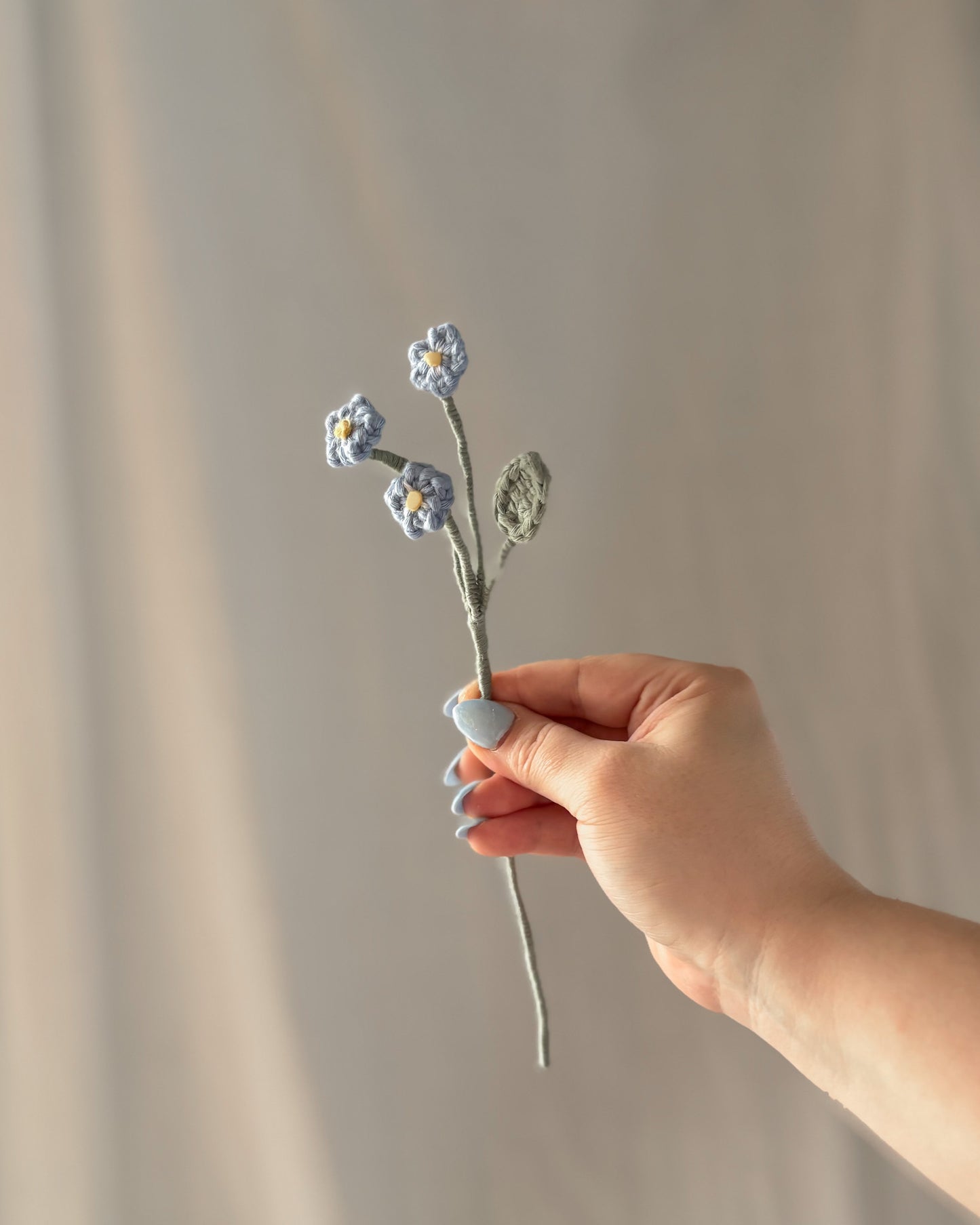Le myosotis