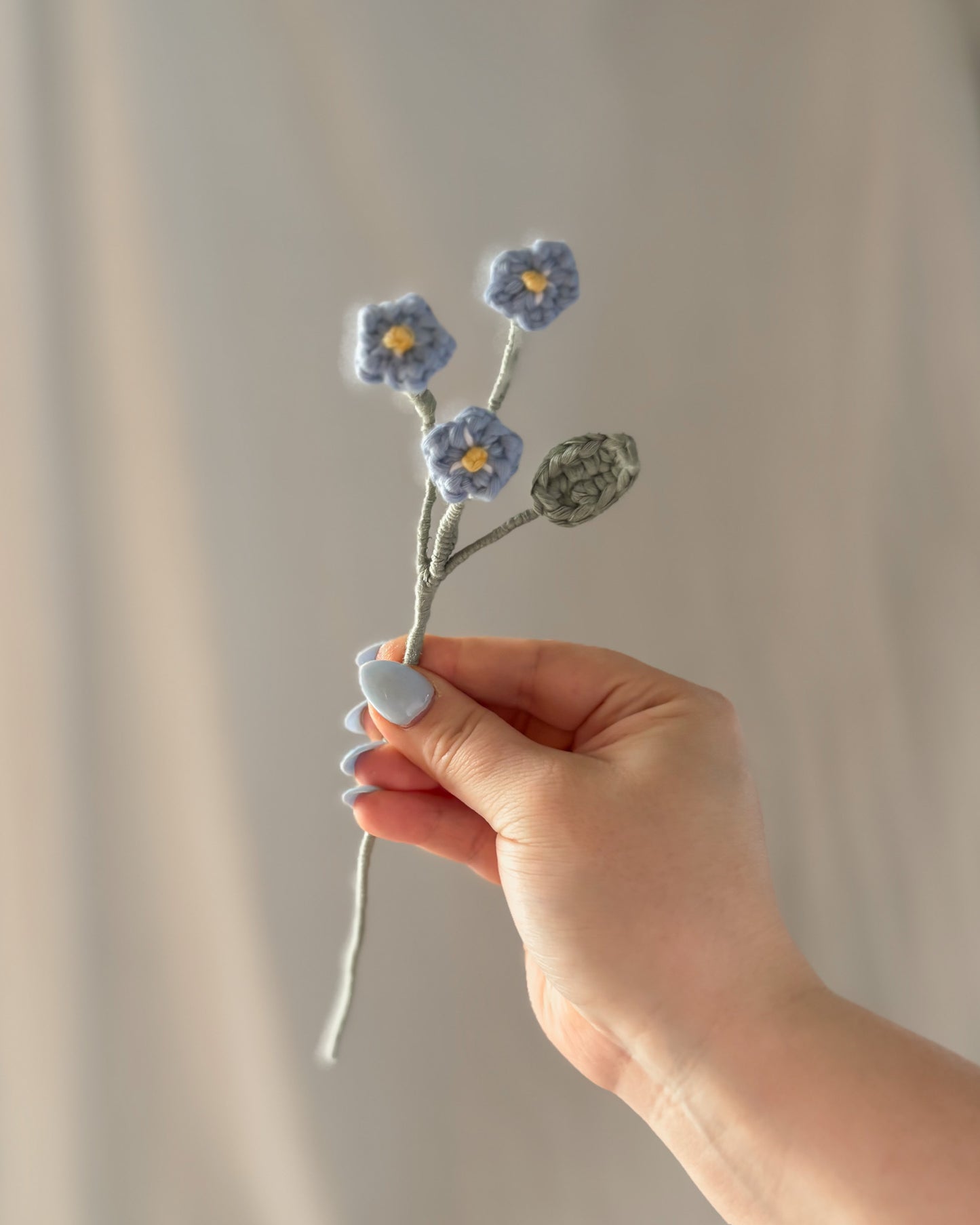 Le myosotis