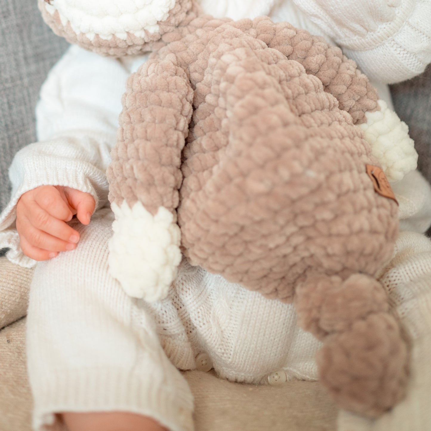 Le paresseux curieux