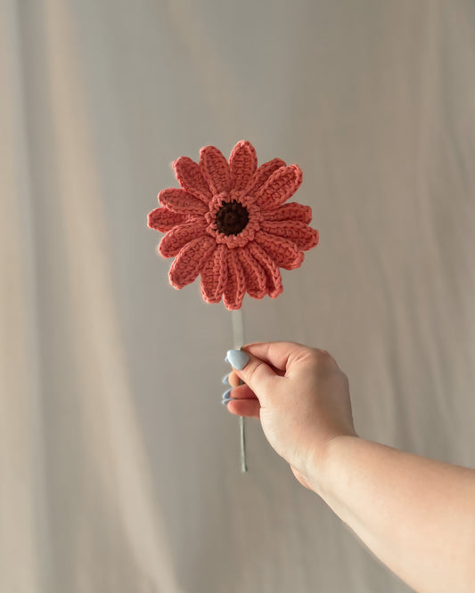 Le gerbera