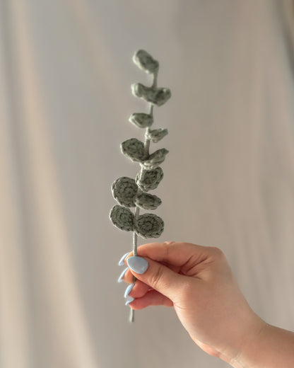 L'eucalyptus