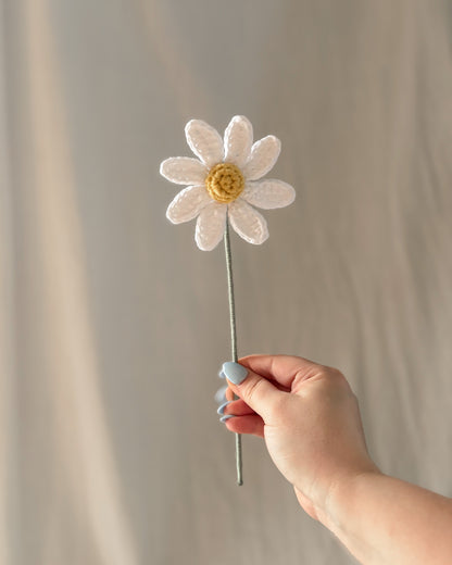 La marguerite