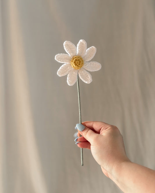 La marguerite