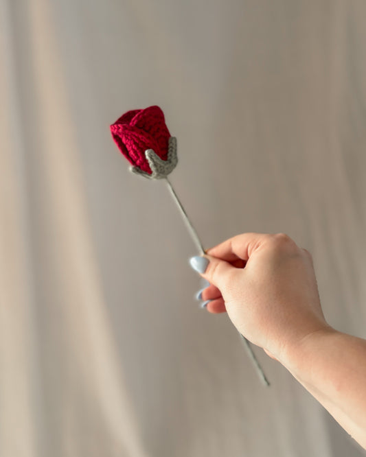 La rose