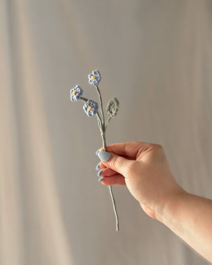 Le myosotis