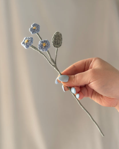 Le myosotis