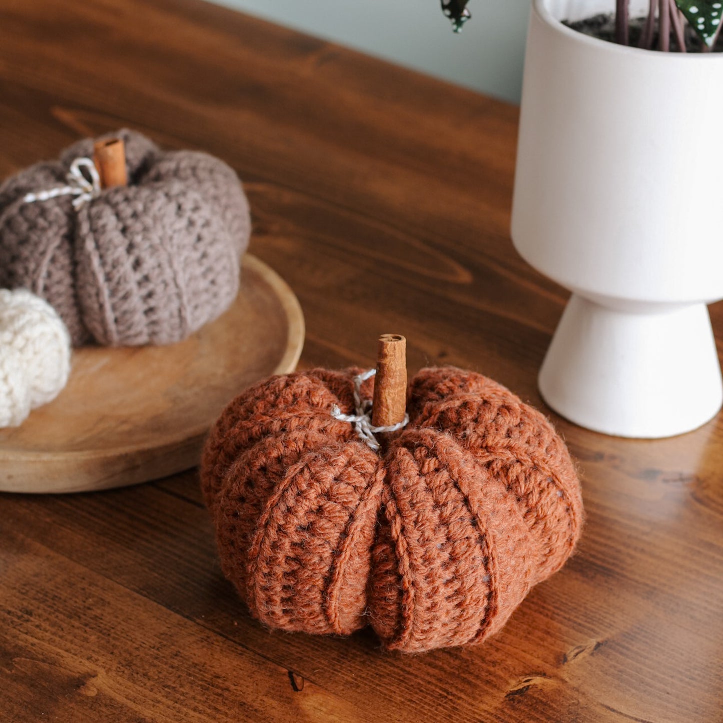 Les citrouilles esthétiques