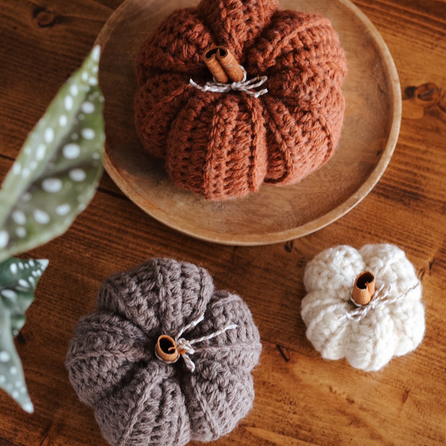 Les citrouilles esthétiques