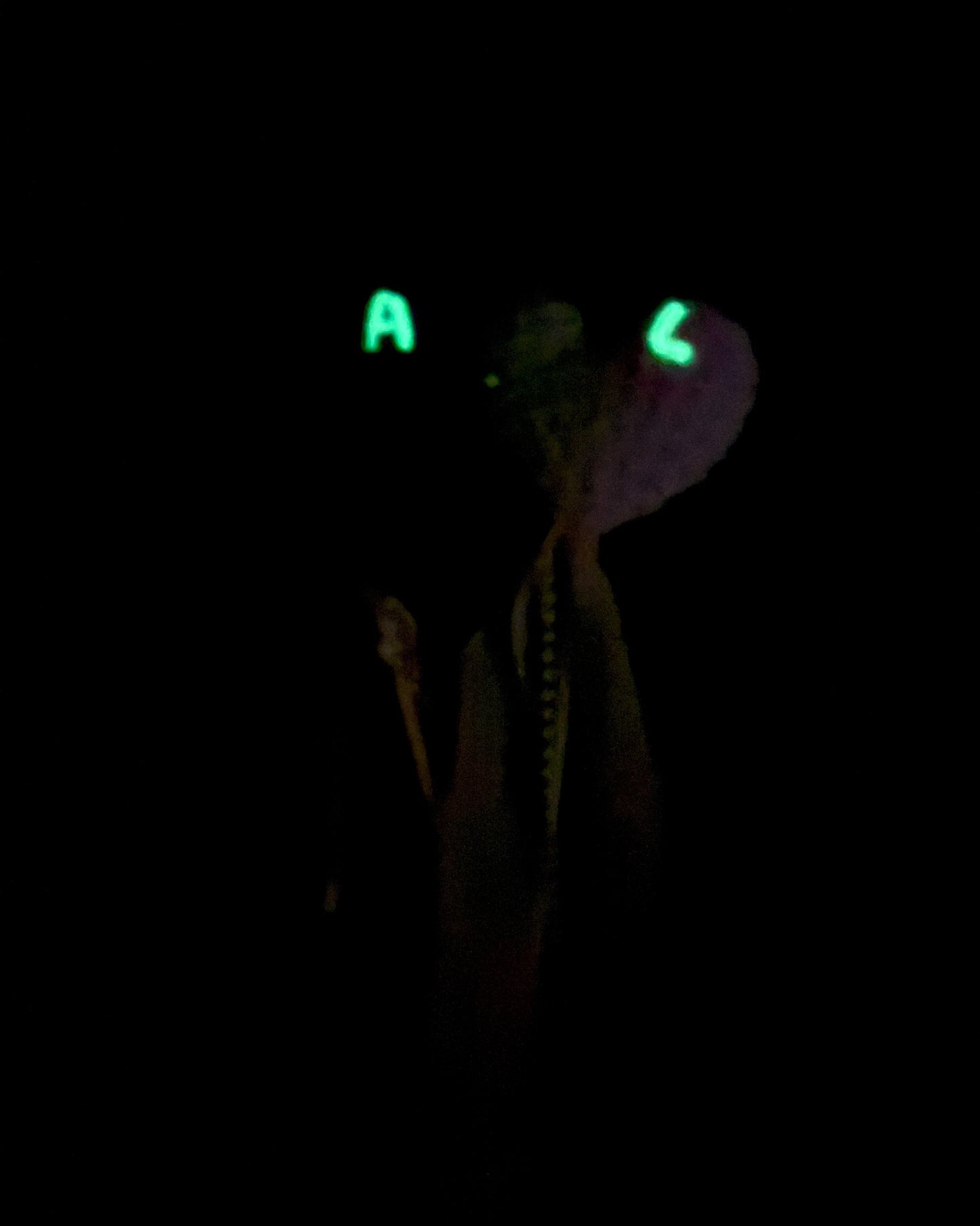 La baguette magique - Cœur